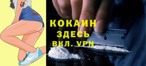молекула духа Белоозёрский