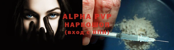 молекула духа Белоозёрский
