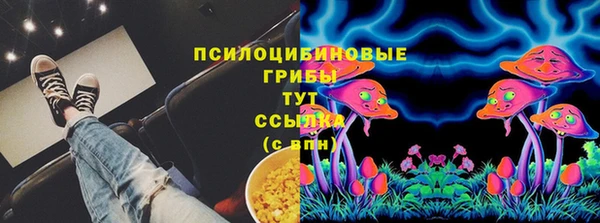 эйфоретик Белокуриха